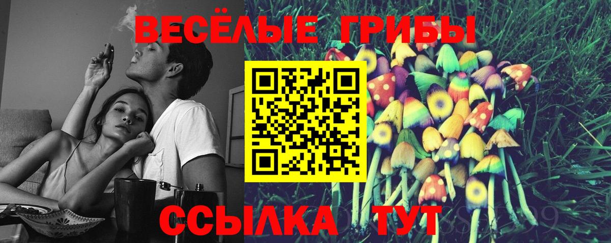 Крымск  Псилоцибиновые грибы MAGIC MUSHROOMS  Вход с VPN 